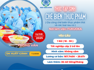 [Fukuoka] ƯU TIÊN 1 NỮ LÀM CHẾ BIẾN THỰC PHẨM CÓ TĂNG CA NHIỀU