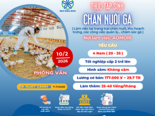 | AOMORI | TUYỂN 4 NAM LÀM CHĂN NUÔI GÀ TẠI NHẬT BẢN