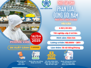 [IWATE] CƠ HỘI ĐI NHẬT CHO NỮ - ĐƠN HÀNG PHÂN LOẠI ĐÓNG GÓI NẤM NHẸ NHÀNG, THU NHẬP ỔN ĐỊNH