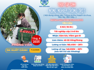 [KUMAMOTO] TUYỂN 6 NỮ ĐƠN NÔNG NGHIỆP TRỒNG TRỌT VỚI THU NHẬP HẤP DẪN